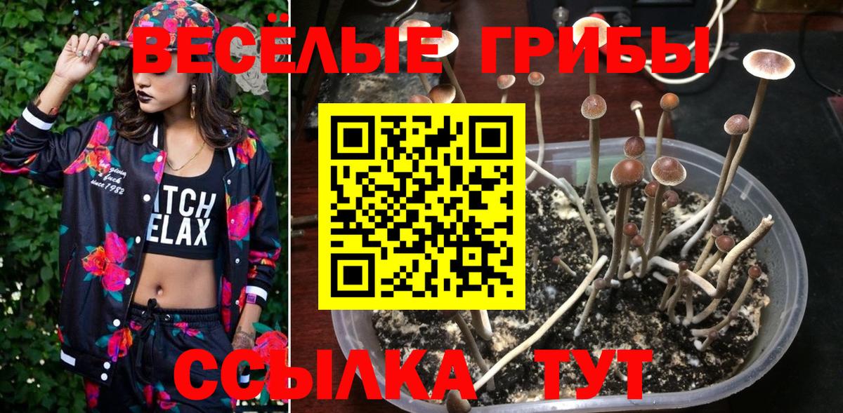 Люберцы  Галлюциногенные грибы Magic Shrooms  Вход с VPN 