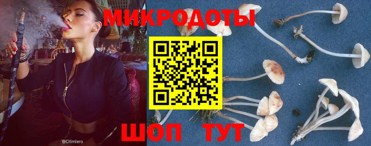 Галлюциногенные грибы Magic Shrooms Люберцы